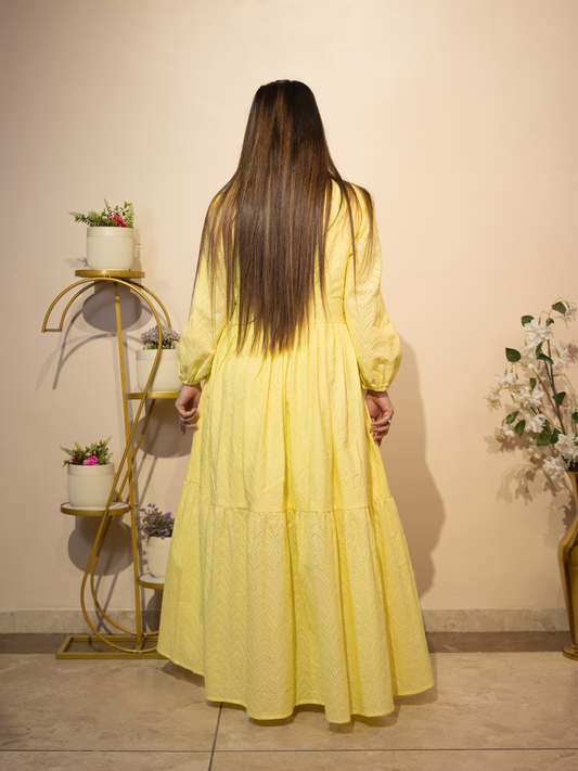 Schiffli Textured Flared Dress (Yellow)