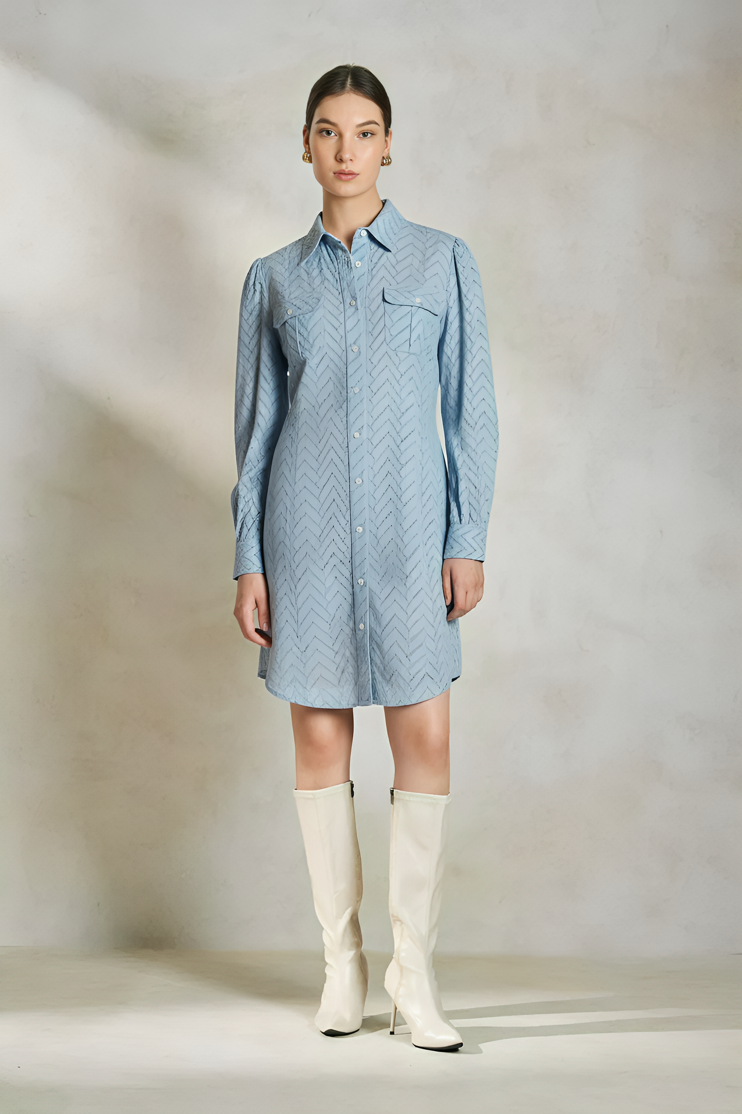 Schiffli Textured Shirt Dress (Blue)
