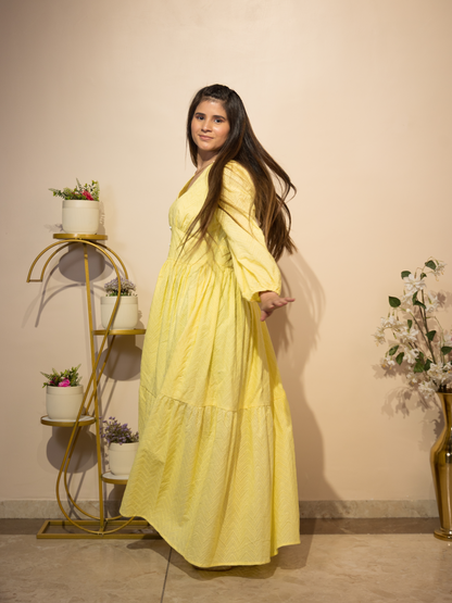 Schiffli Textured Flared Dress (Yellow)